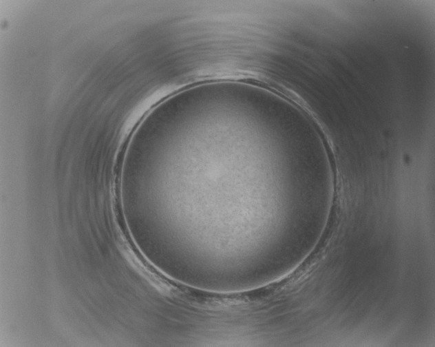 X0000052931187200507081111