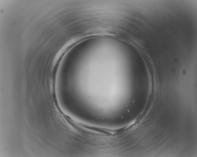 X0000052931188200507081111