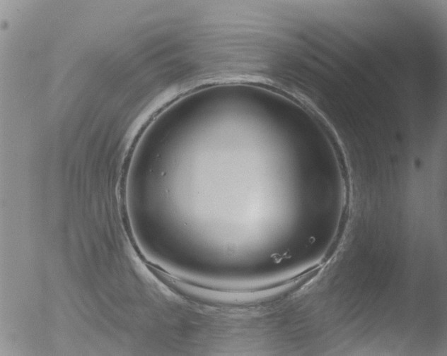 X0000052931189200507081111