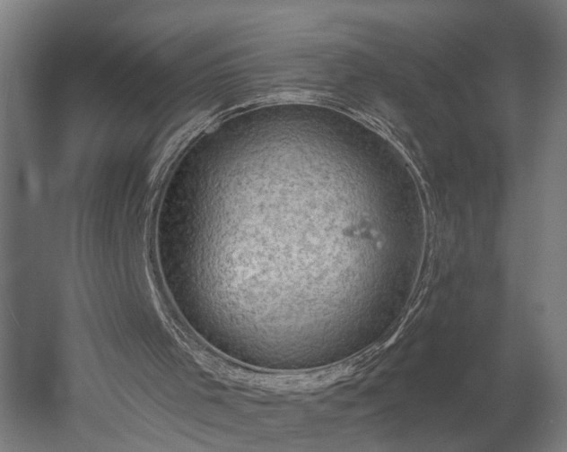 X0000052930001200507151629