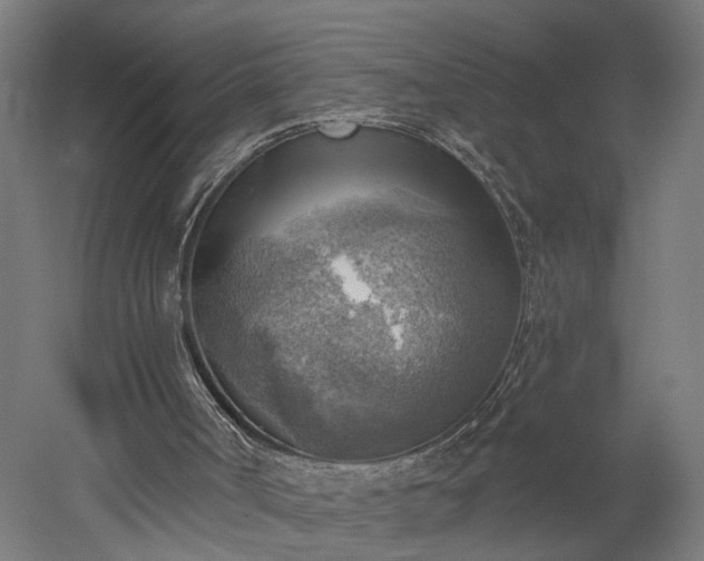 X0000052930002200507151629