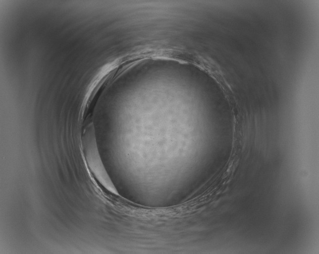 X0000052930003200507151629