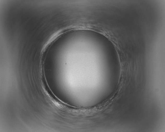 X0000052930005200507151629