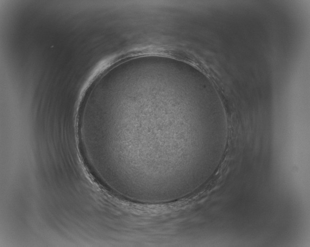 X0000052930006200507151629