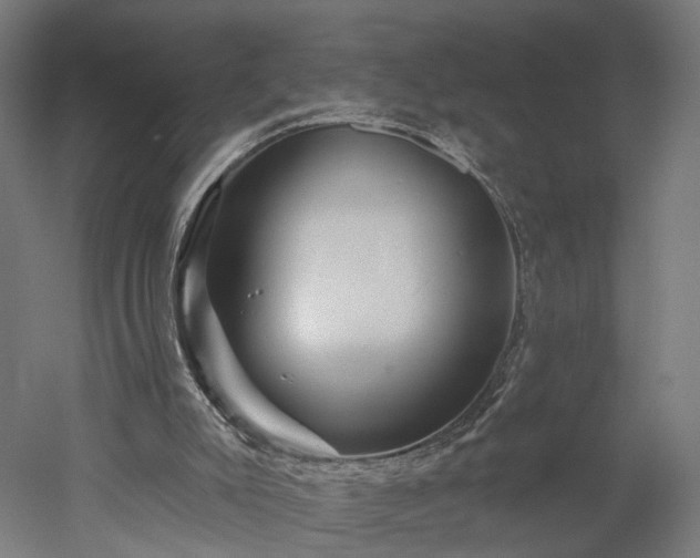 X0000052930007200507151629