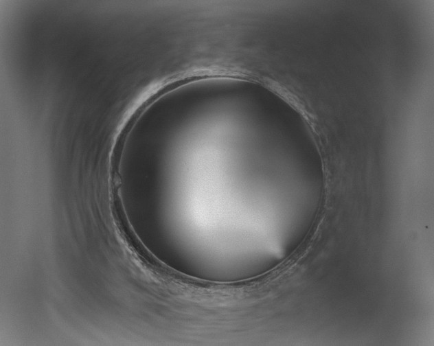 X0000052930008200507151629