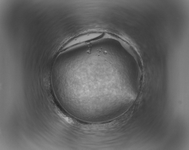 X0000052930009200507151629