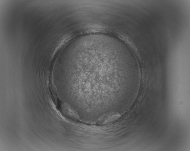 X0000052930010200507151629