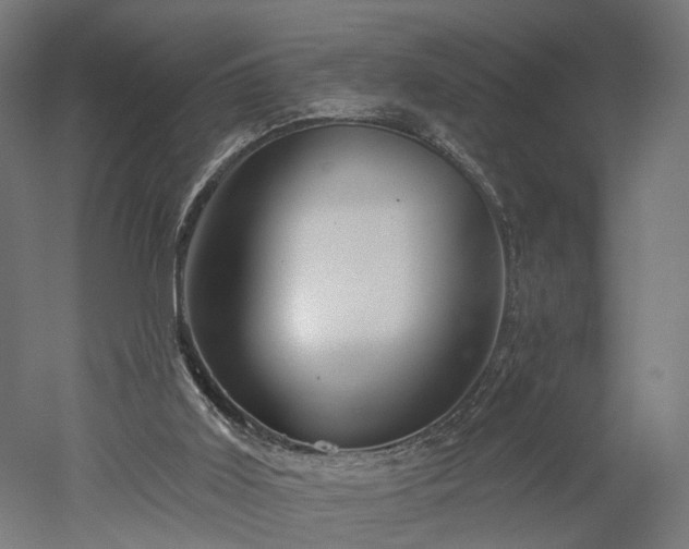 X0000052930011200507151629