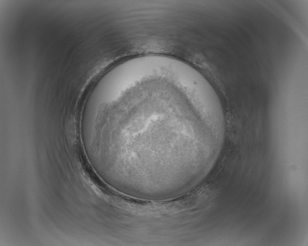 X0000052930012200507151629