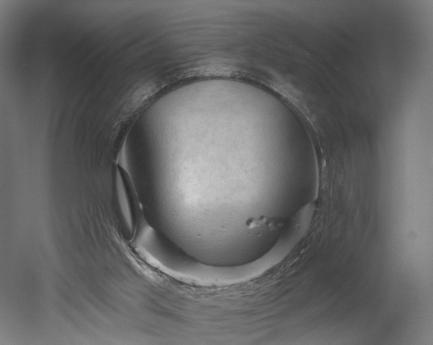 X0000052930013200507151629