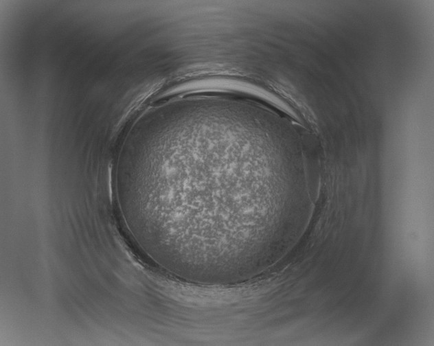 X0000052930014200507151629