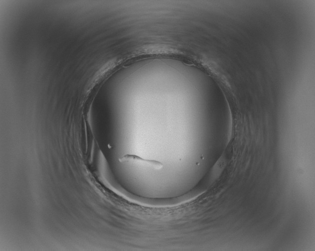 X0000052930015200507151629