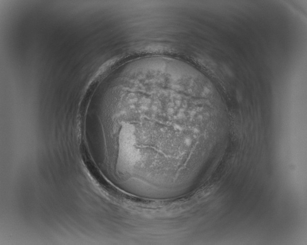 X0000052930016200507151629