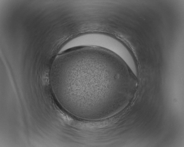 X0000052930017200507151629