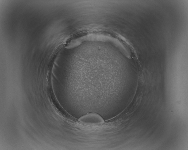 X0000052930018200507151629