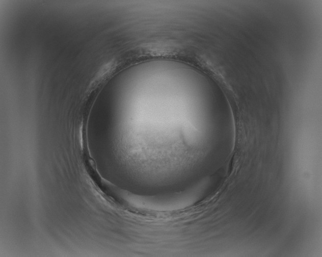 X0000052930019200507151629