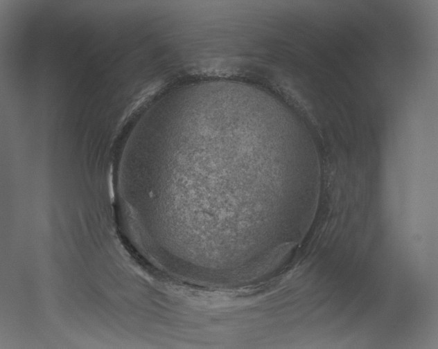 X0000052930020200507151629