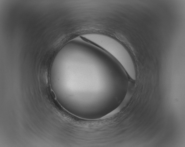 X0000052930021200507151629