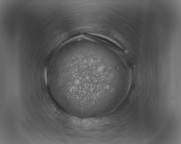 X0000052930022200507151629