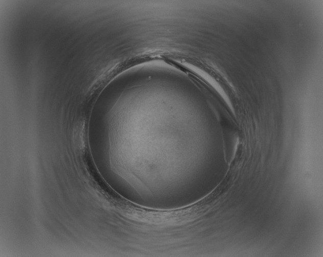 X0000052930023200507151629