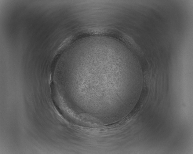 X0000052930024200507151628