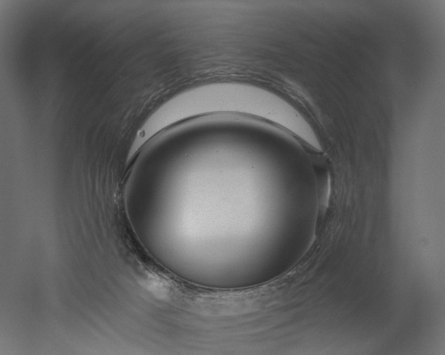 X0000052930025200507151628