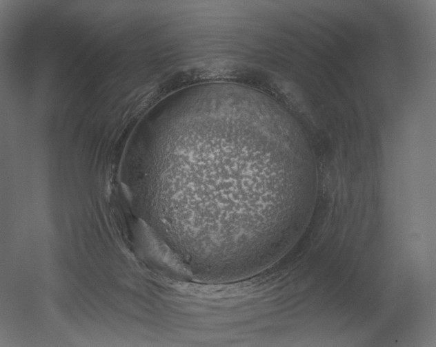 X0000052930026200507151628