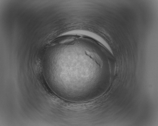 X0000052930029200507151628