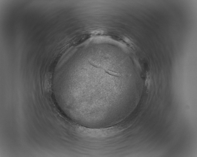 X0000052930030200507151628