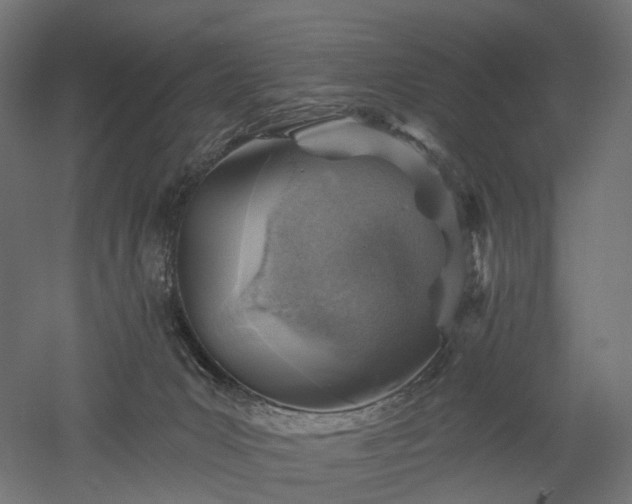 X0000052930031200507151628