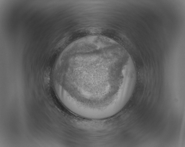 X0000052930032200507151628