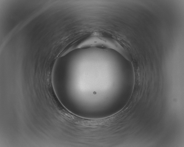 X0000052930033200507151628