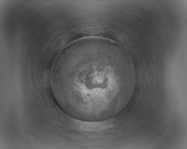 X0000052930034200507151628