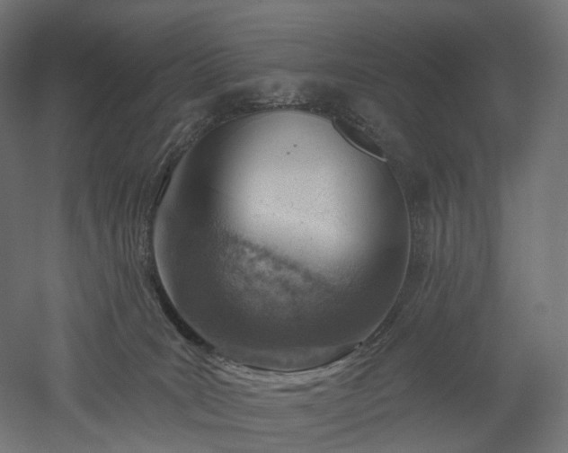 X0000052930035200507151628