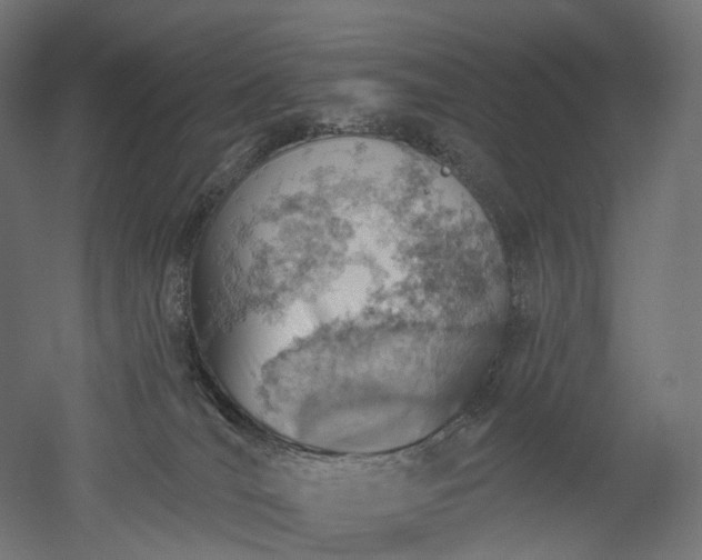 X0000052930036200507151628