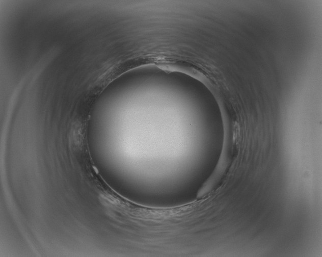 X0000052930037200507151628