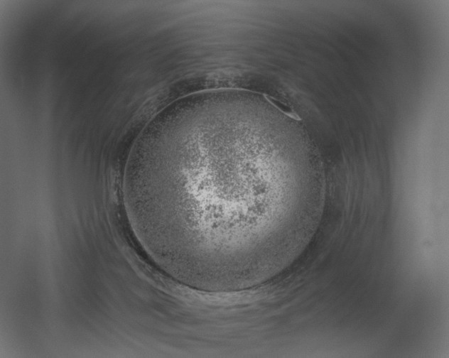 X0000052930038200507151628