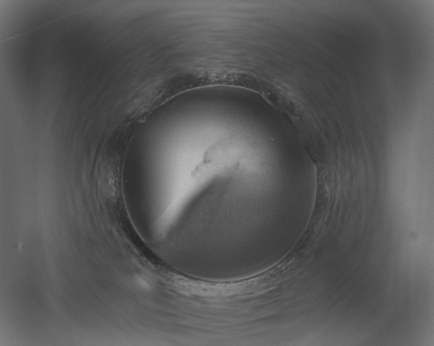 X0000052930039200507151628