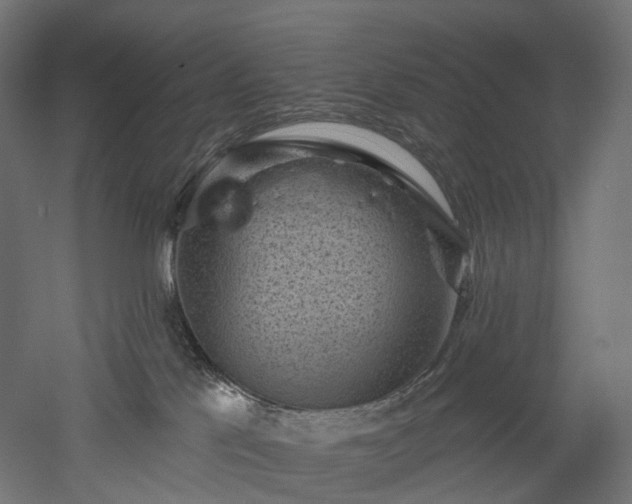 X0000052930041200507151628