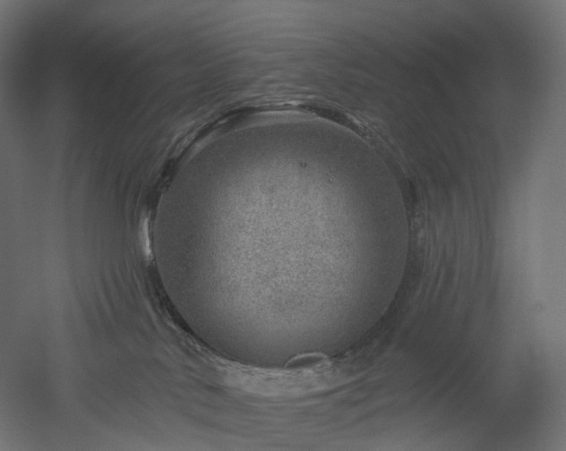 X0000052930042200507151628