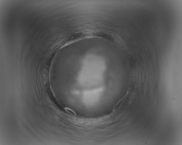 X0000052930043200507151628