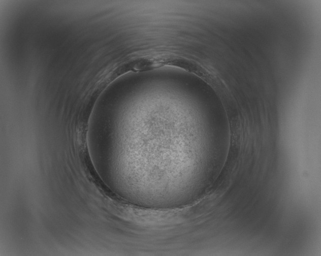 X0000052930044200507151628