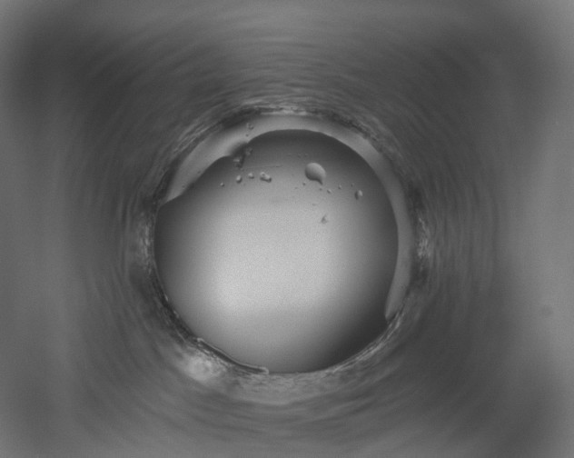 X0000052930045200507151628