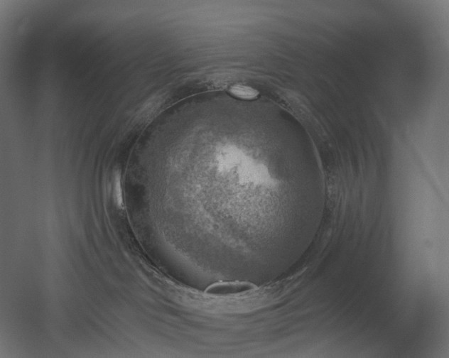 X0000052930046200507151628