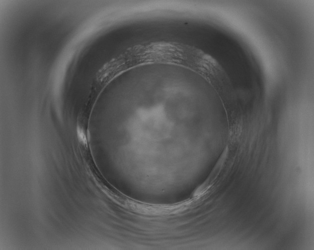 X0000052930047200507151628