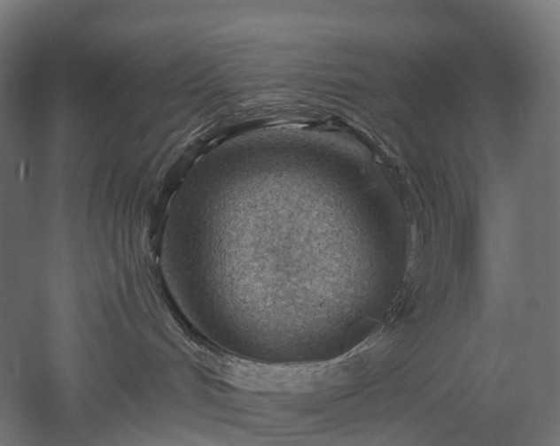 X0000052930048200507151628