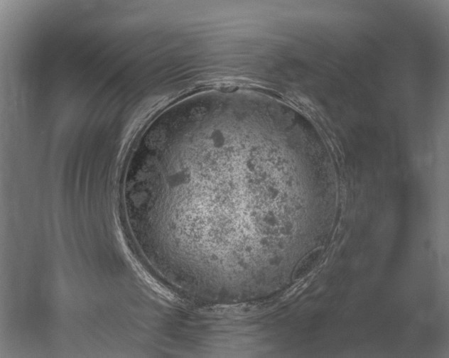 X0000052930049200507151627