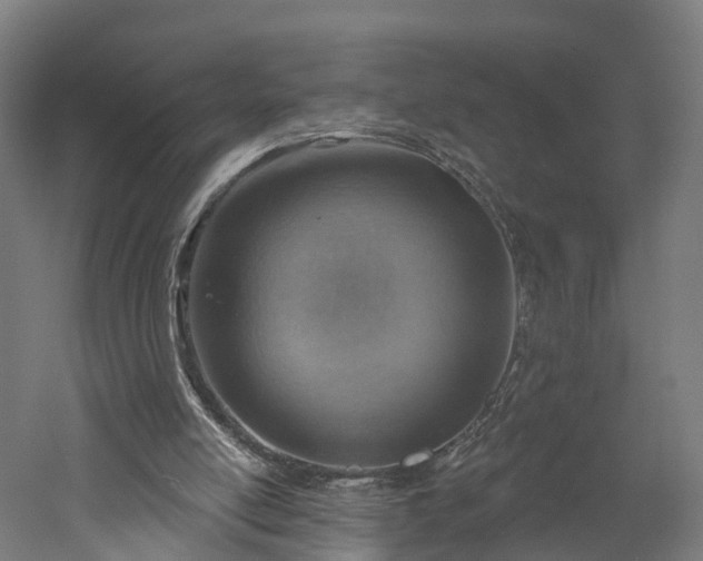 X0000052930054200507151627