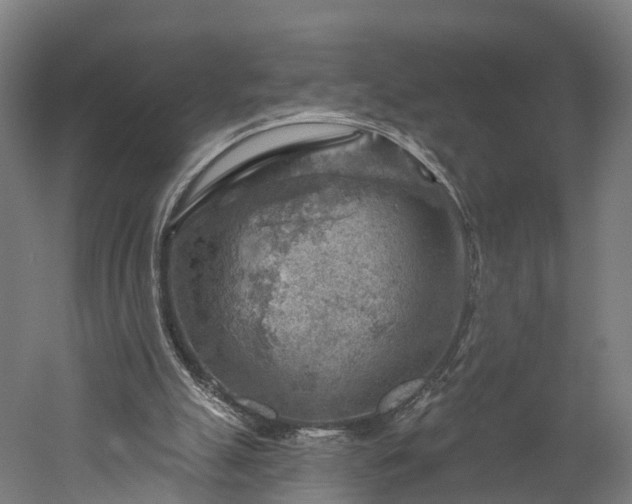 X0000052930055200507151627